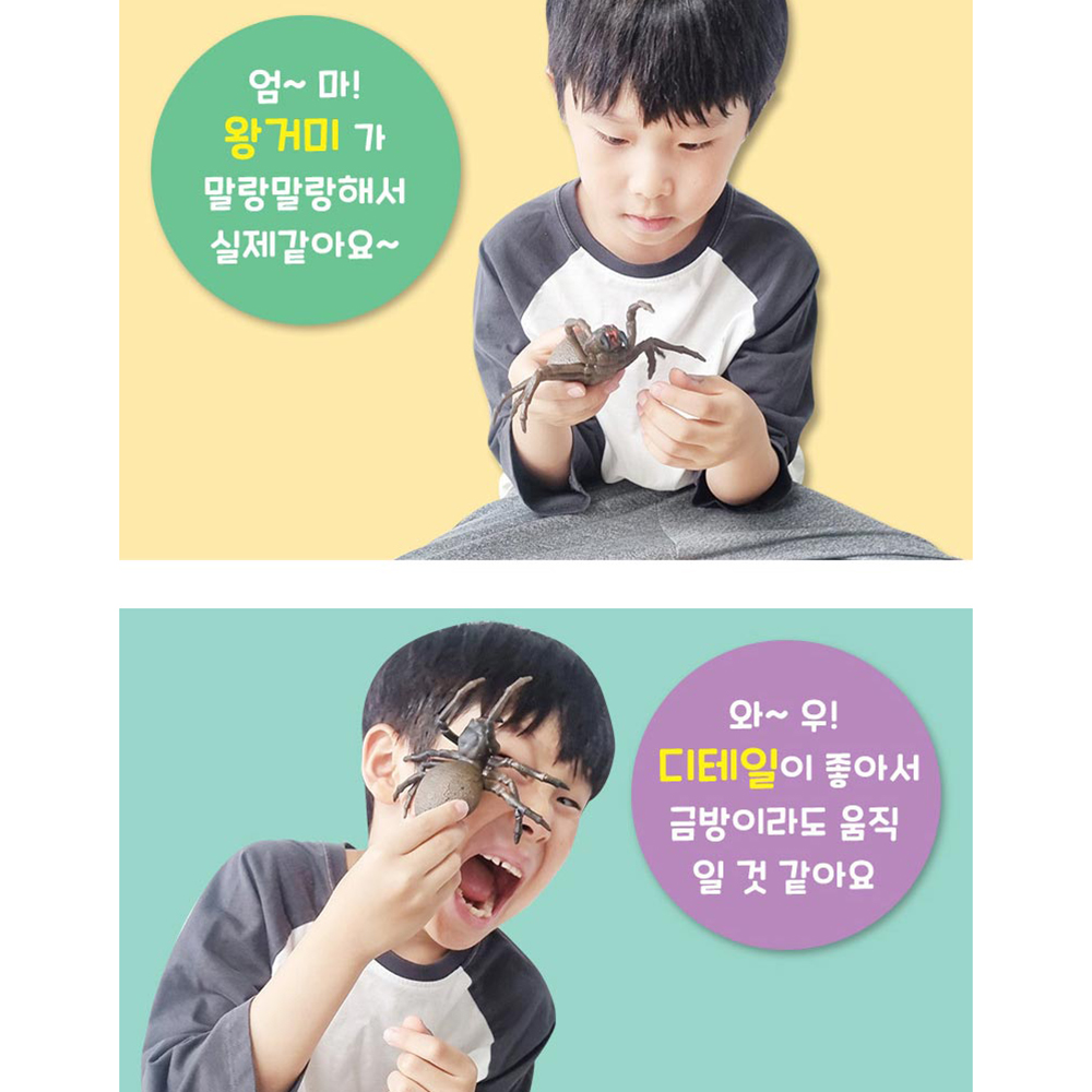 파충류세계 왕거미 왕지네 2종 세트 말랑말랑 실감나는 곤충 동물 인형 장난감 - 상세 이미지 4