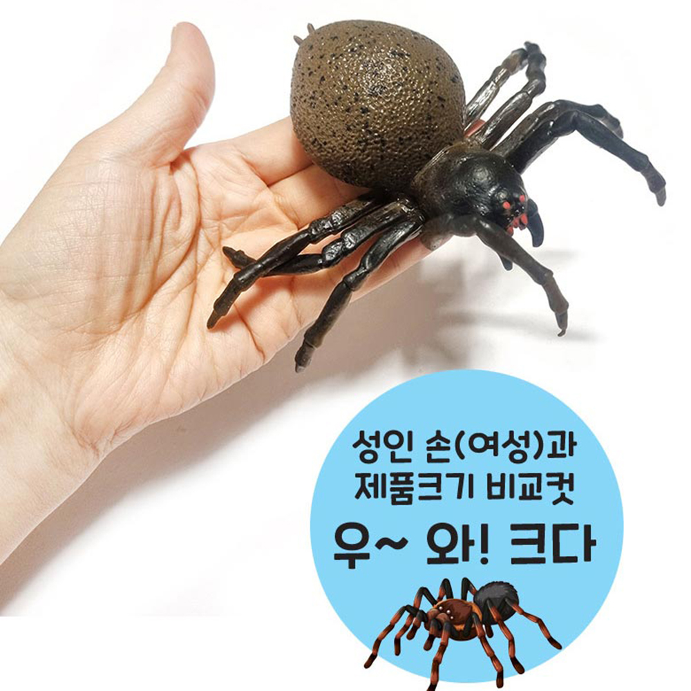 파충류세계 왕거미 왕지네 2종 세트 말랑말랑 실감나는 곤충 동물 인형 장난감 이미지 7