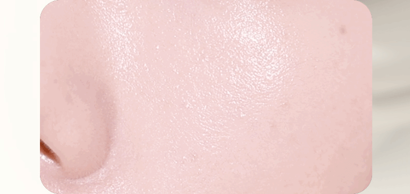MQNY Microfit No-Sebum Powder Pact 2 Types 9g