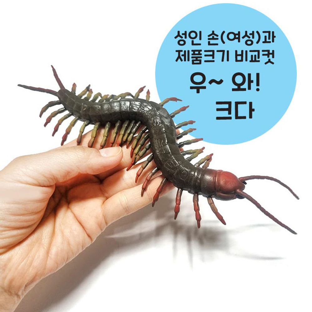 파충류세계 왕거미 왕지네 2종 세트 말랑말랑 실감나는 곤충 동물 인형 장난감 이미지 6