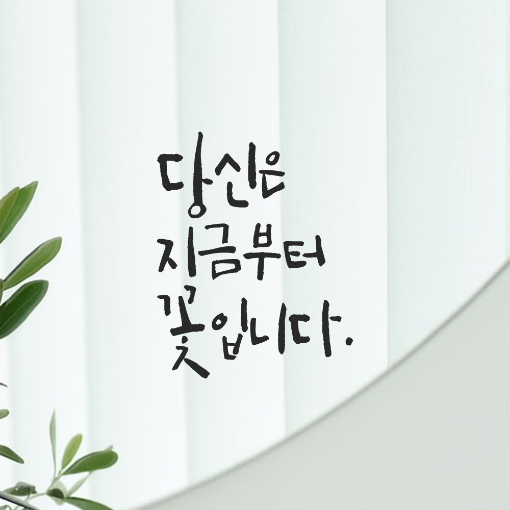 인테리어 포인트 그래픽 캘리그라피 레터링 스티커 당신은 지금부터 꽃입니다 LC-078S 검정 이미지 8