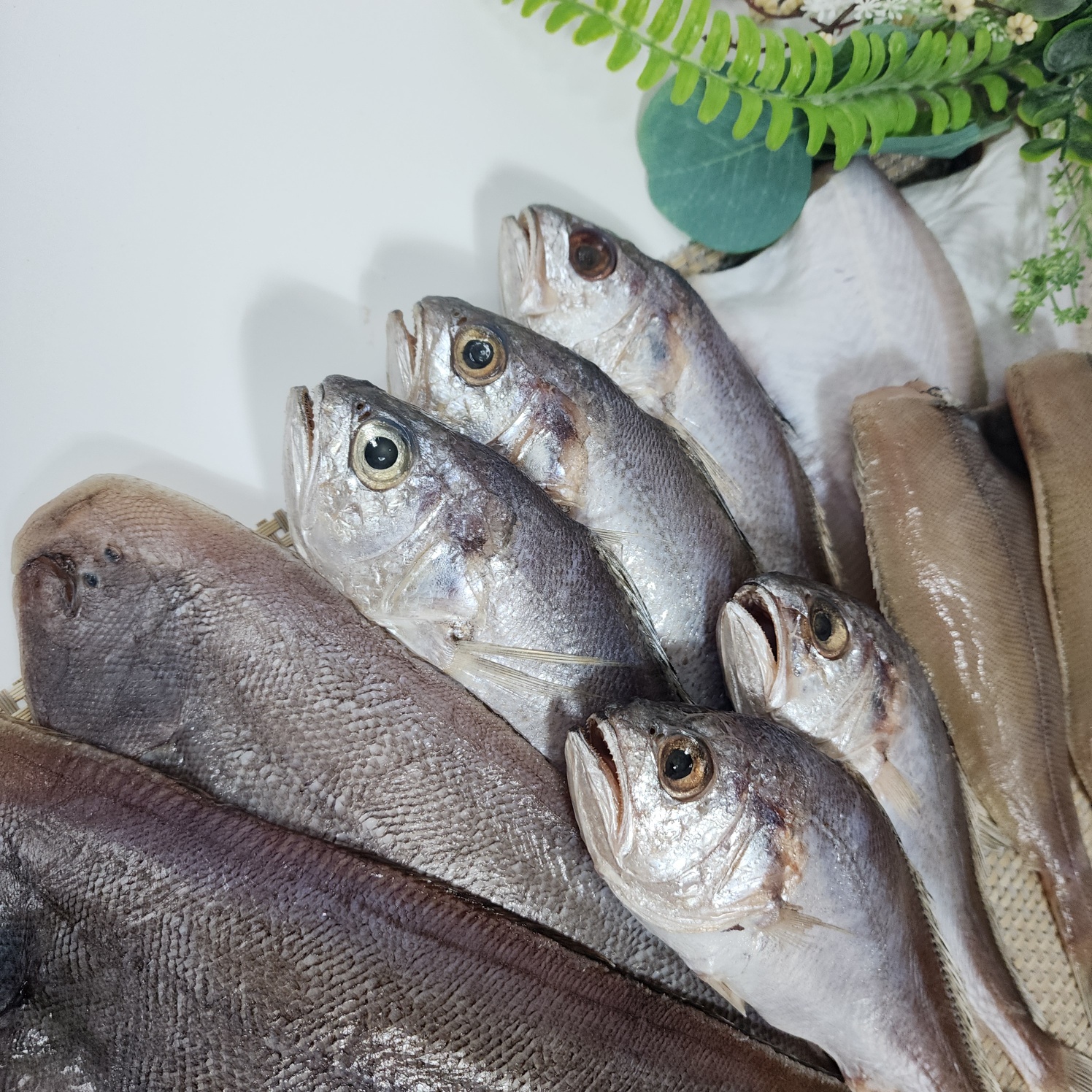 반건조 모듬세트 침조기 민어조기 서대 병어 두절가자미 조림 찜 구이 반찬용 - 상세 이미지 5