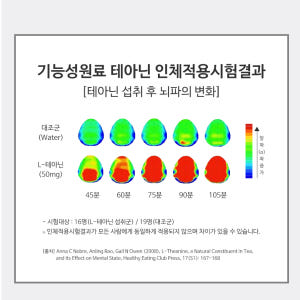 테아닌 스트레스 테아닌골드 긴장완화 60정, 1개 맛있게 먹은 솔직 후기 - 상품 이미지 3