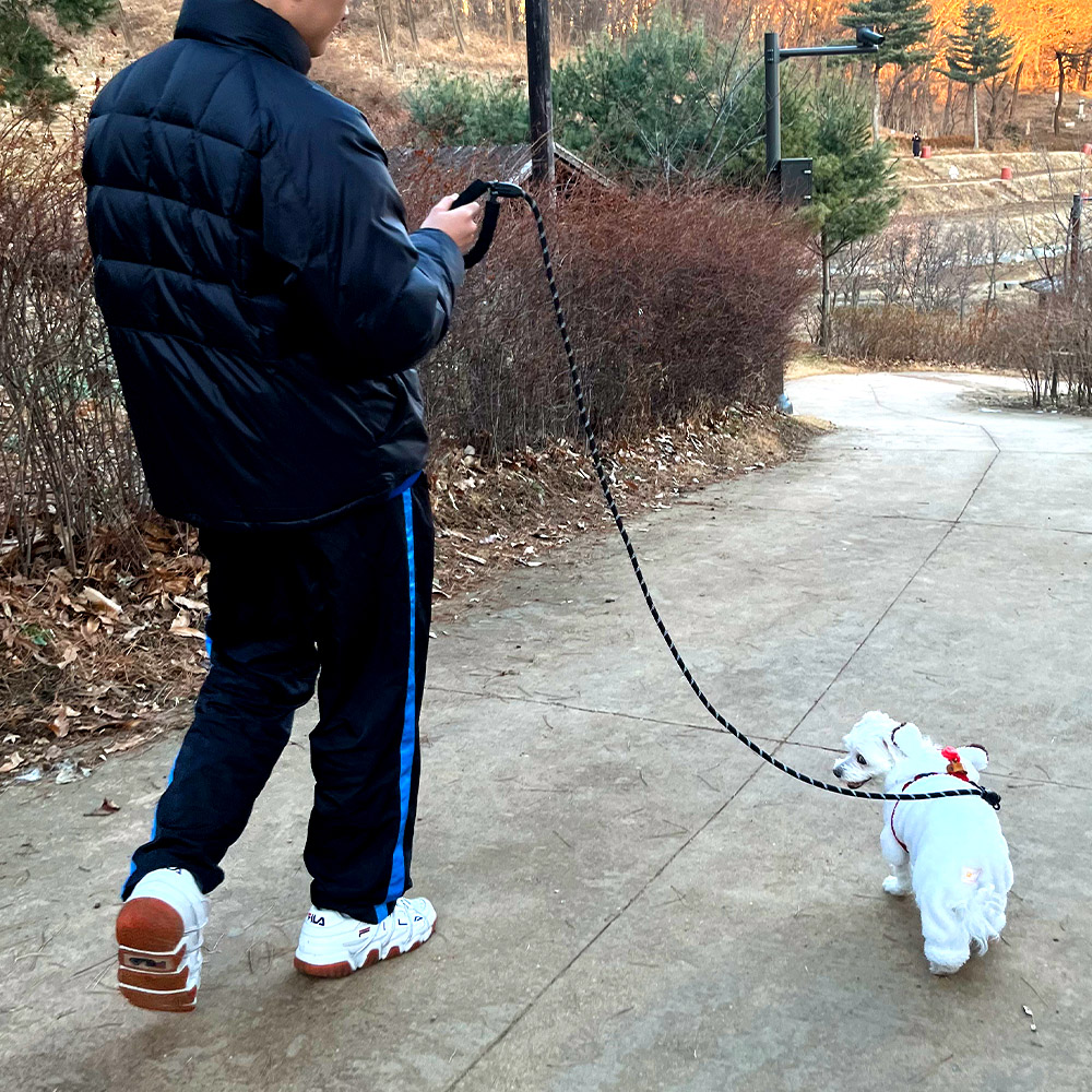 나마스펫 강아지리드줄 대형견 중형견 소형견 베이직 로프 빛반사 개 목줄 산책줄 - 상세 이미지 3