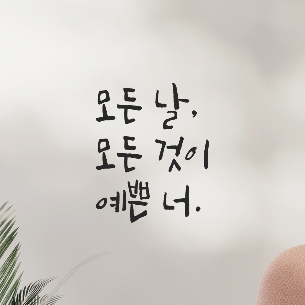 인테리어 포인트 그래픽 캘리그라피 레터링 스티커 모든 날 모든 것이 예쁜 너 LC-075S 검정 - 상세 이미지 5