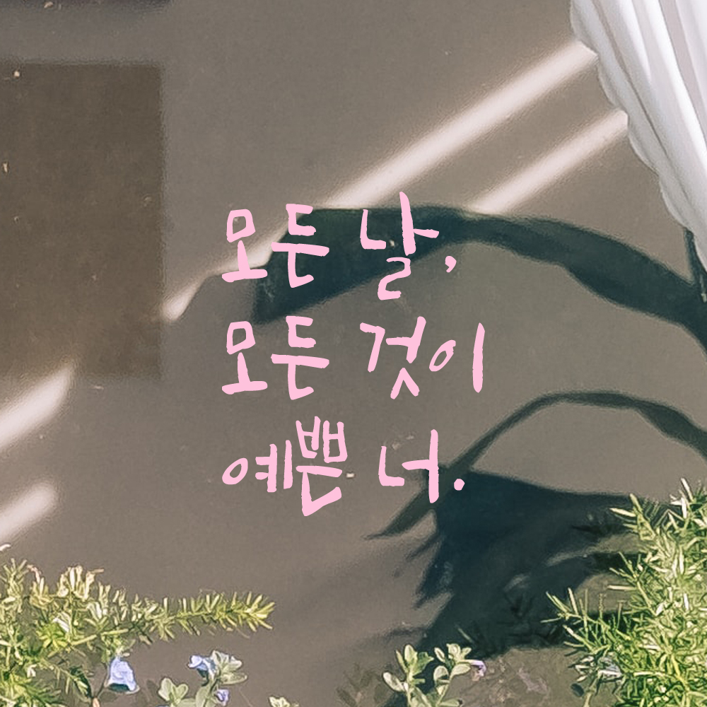 인테리어 포인트 그래픽 캘리그라피 레터링 스티커 모든 날 모든 것이 예쁜 너 LC-075S 검정 - 상세 이미지 4