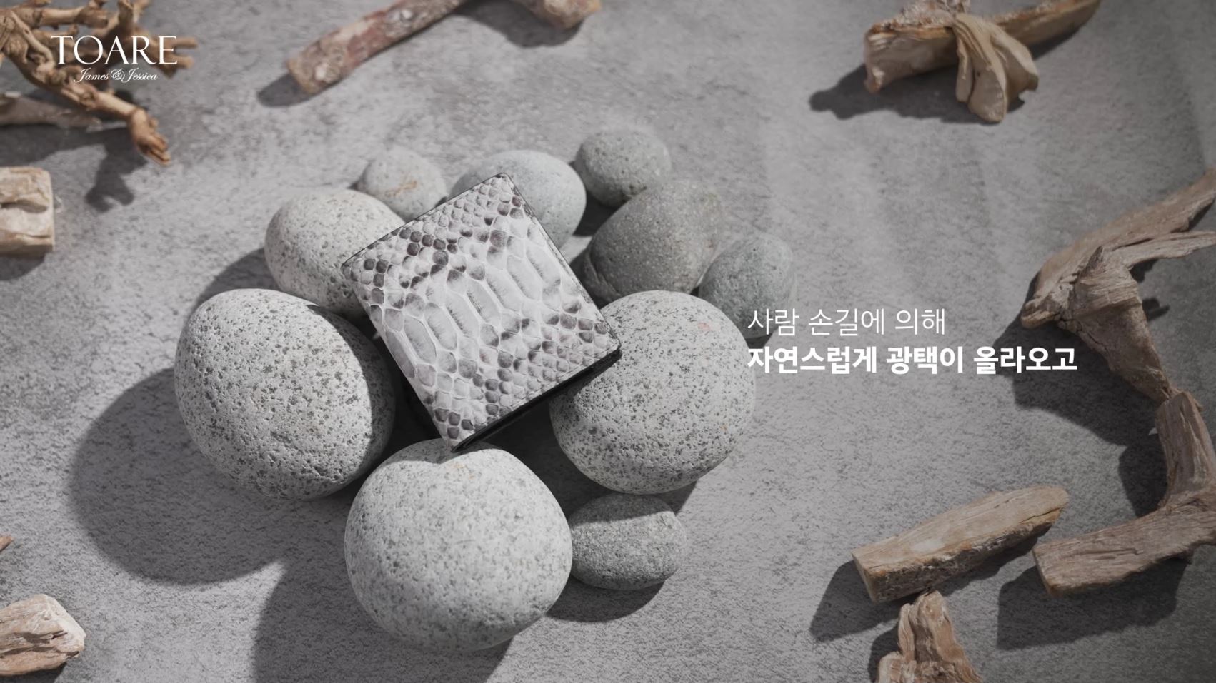 리얼 파이톤 지폐 카드지갑 선물 - 상세 이미지 4