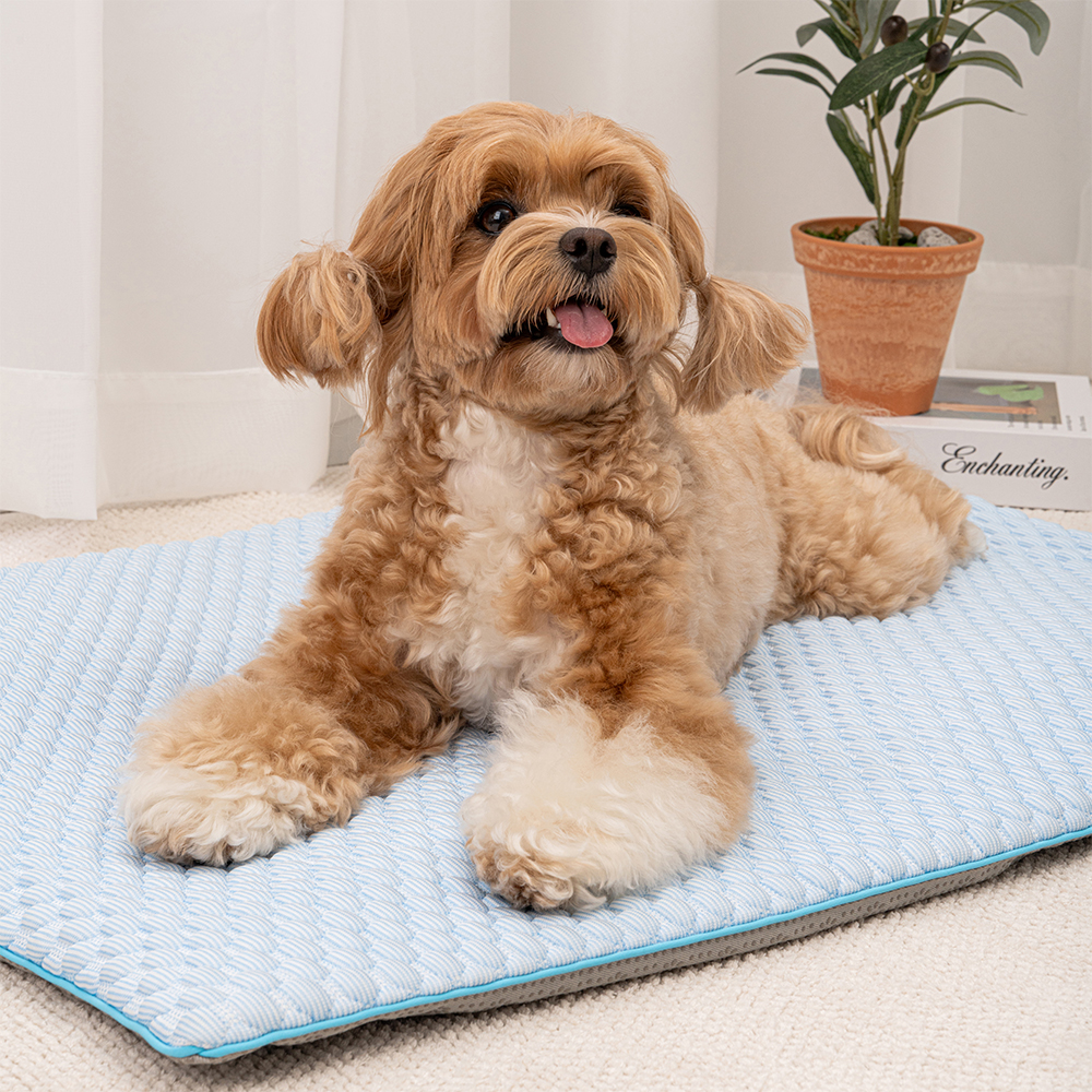 강아지 쿨매트 고양이 애견 매트 쿨링방석 여름 냉감 반려견 3종 셋트 - 상세 이미지 2