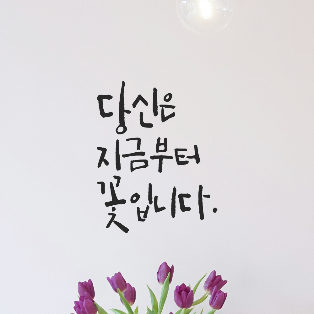 인테리어 포인트 그래픽 캘리그라피 레터링 스티커 당신은 지금부터 꽃입니다 LC-078S 검정 - 상품 이미지