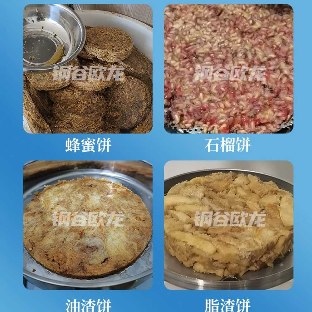 대형 업소용 착즙기 과일 야채 꿀 밀랍 포도 프레스 스파이럴13L - 상세 이미지 4