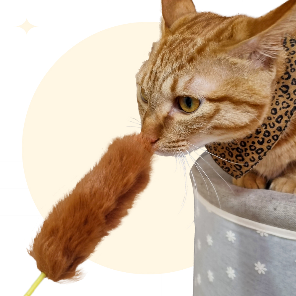 나마스펫 고양이 오뎅 꼬치 막대 장난감 - 메인 이미지