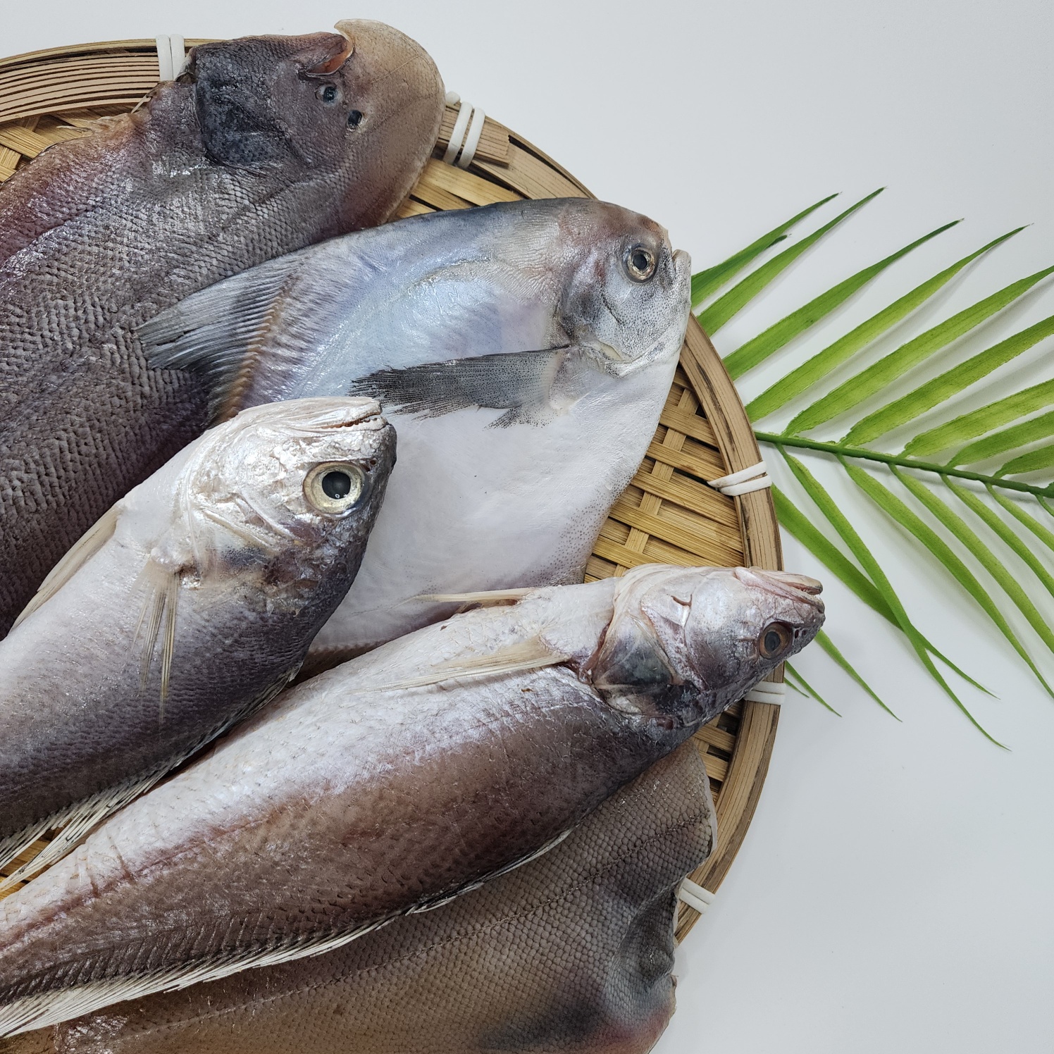 반건조 모듬세트 침조기 민어조기 서대 병어 두절가자미 조림 찜 구이 반찬용 - 메인 이미지