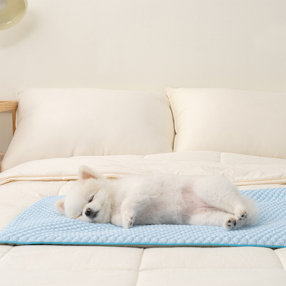 강아지 쿨매트 고양이 애견 매트 쿨링방석 여름 냉감 반려견 3종 셋트 - 상세 이미지 5