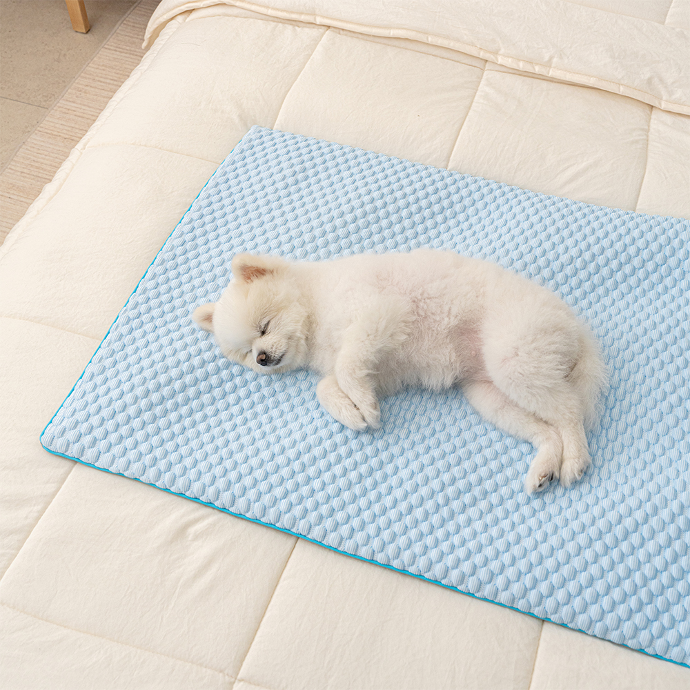 강아지 쿨매트 고양이 애견 매트 쿨링방석 여름 냉감 반려견 3종 셋트 - 상세 이미지 3