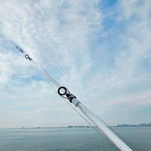 유정비어 가이드