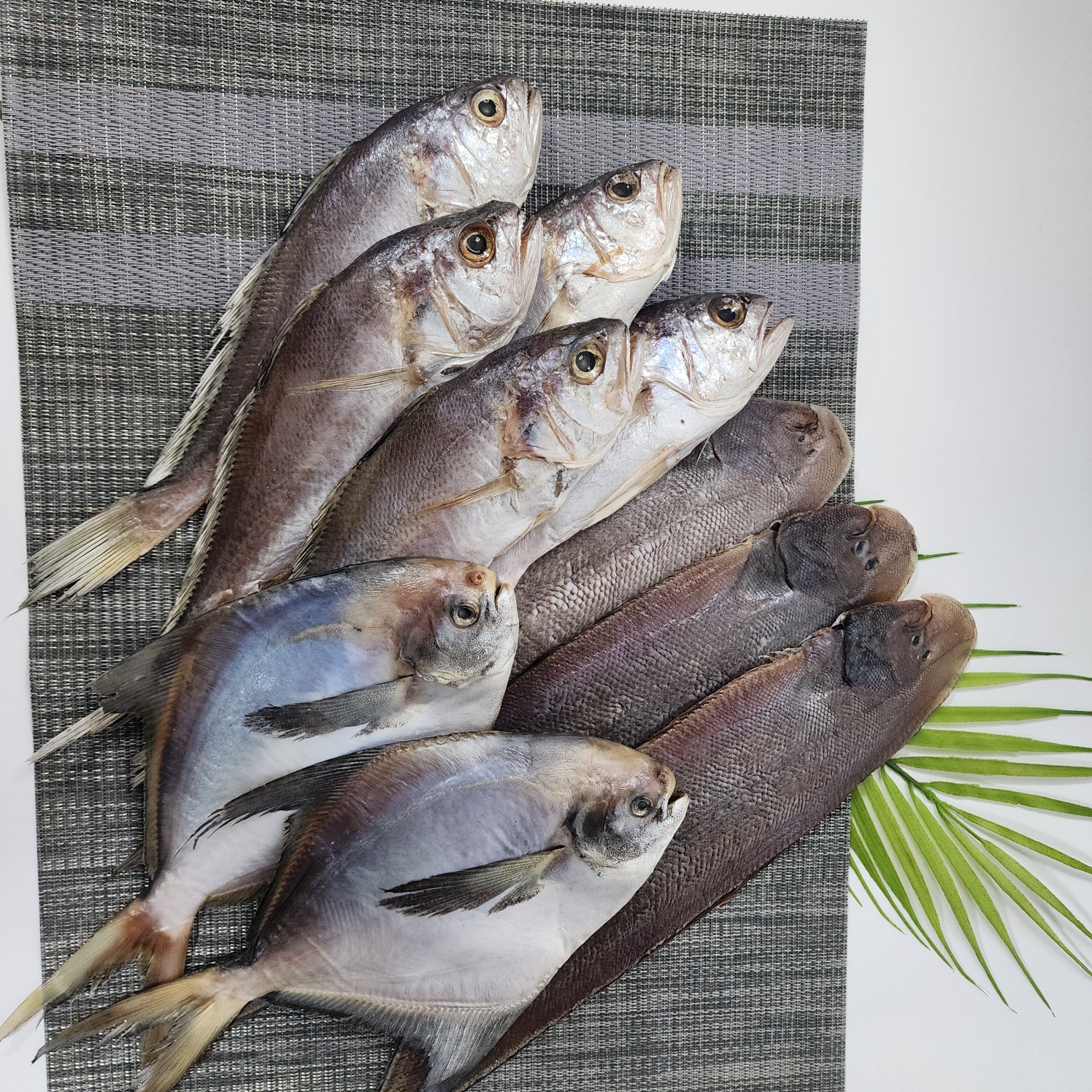 반건조 모듬세트 침조기 민어조기 서대 병어 두절가자미 조림 찜 구이 반찬용 - 상세 이미지 3