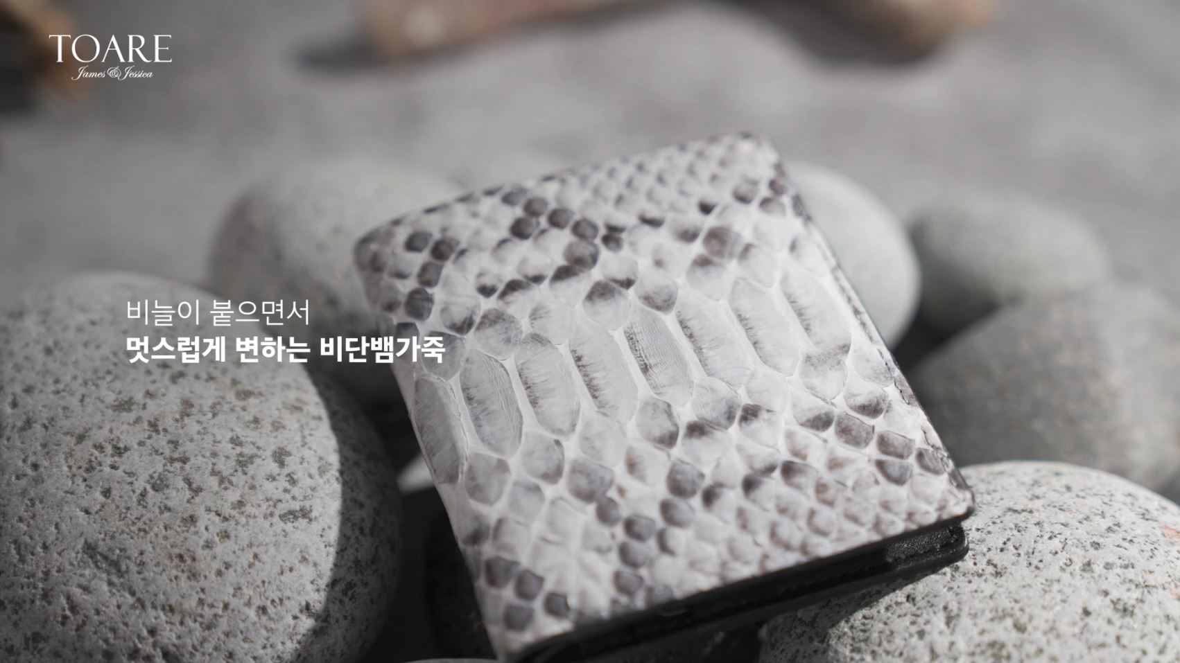 리얼 파이톤 지폐 카드지갑 선물 - 상세 이미지 5