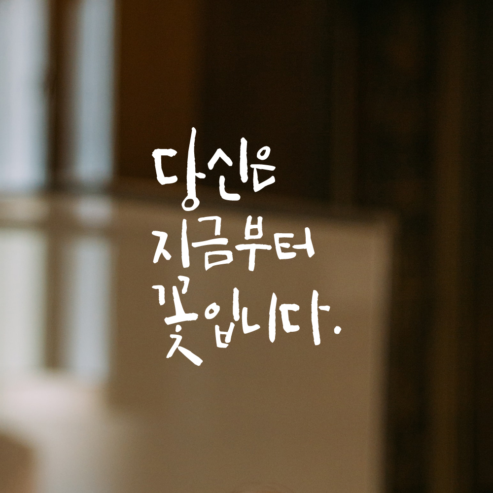 인테리어 포인트 그래픽 캘리그라피 레터링 스티커 당신은 지금부터 꽃입니다 LC-078S 검정 - 상세 이미지 2
