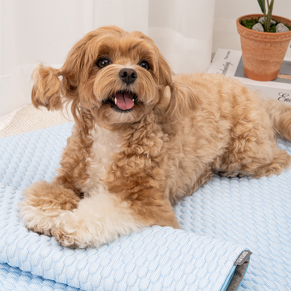 강아지 쿨매트 고양이 애견 매트 쿨링방석 여름 냉감 반려견 3종 셋트 - 상세 이미지 4