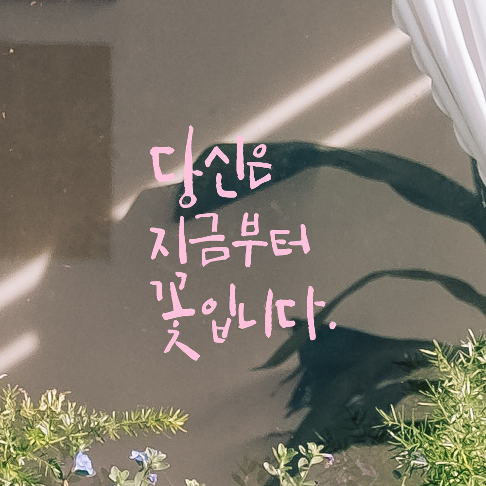 인테리어 포인트 그래픽 캘리그라피 레터링 스티커 당신은 지금부터 꽃입니다 LC-078S 검정 - 상세 이미지 4