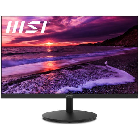 MSI 프로 MP242 IPS 아이세이버 모니터