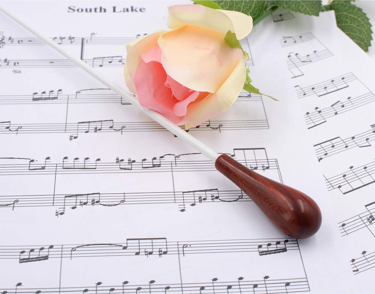감동을 주는 지휘자 고급 샌달우드 오케스트라 지휘봉 (보관 케이스 포함)