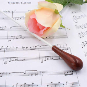 감동을 주는 지휘자 고급 샌달우드 오케스트라 지휘봉 (보관 케이스 포함) 실사용 후기 | 효과 있을까? - 상품 이미지 1