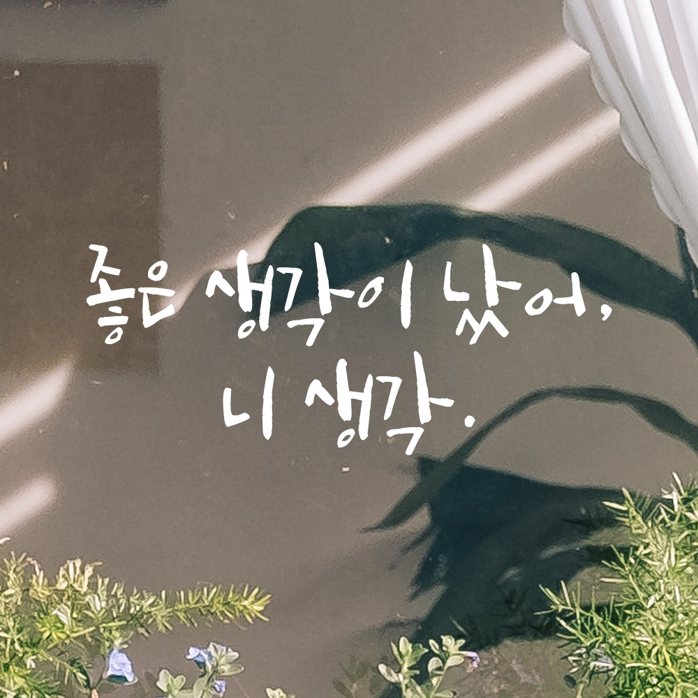 인테리어 포인트 그래픽 캘리그라피 레터링 스티커 좋은 생각이 났어 니 생각 LC-036S 검정 - 상세 이미지 2