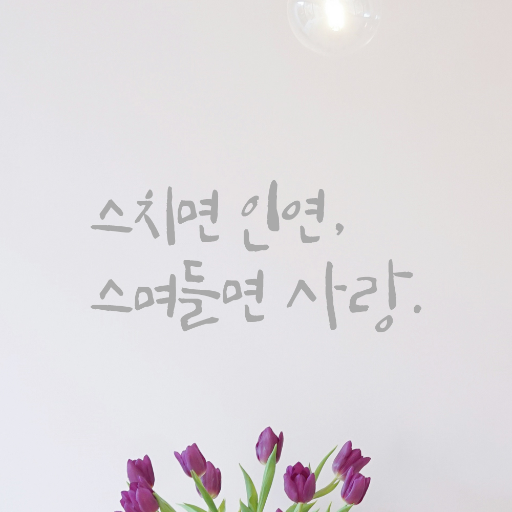 인테리어 포인트 그래픽 캘리그라피 레터링 스티커 스치면 인연 스며들면 사랑 LC-008S 검정 - 상세 이미지 3