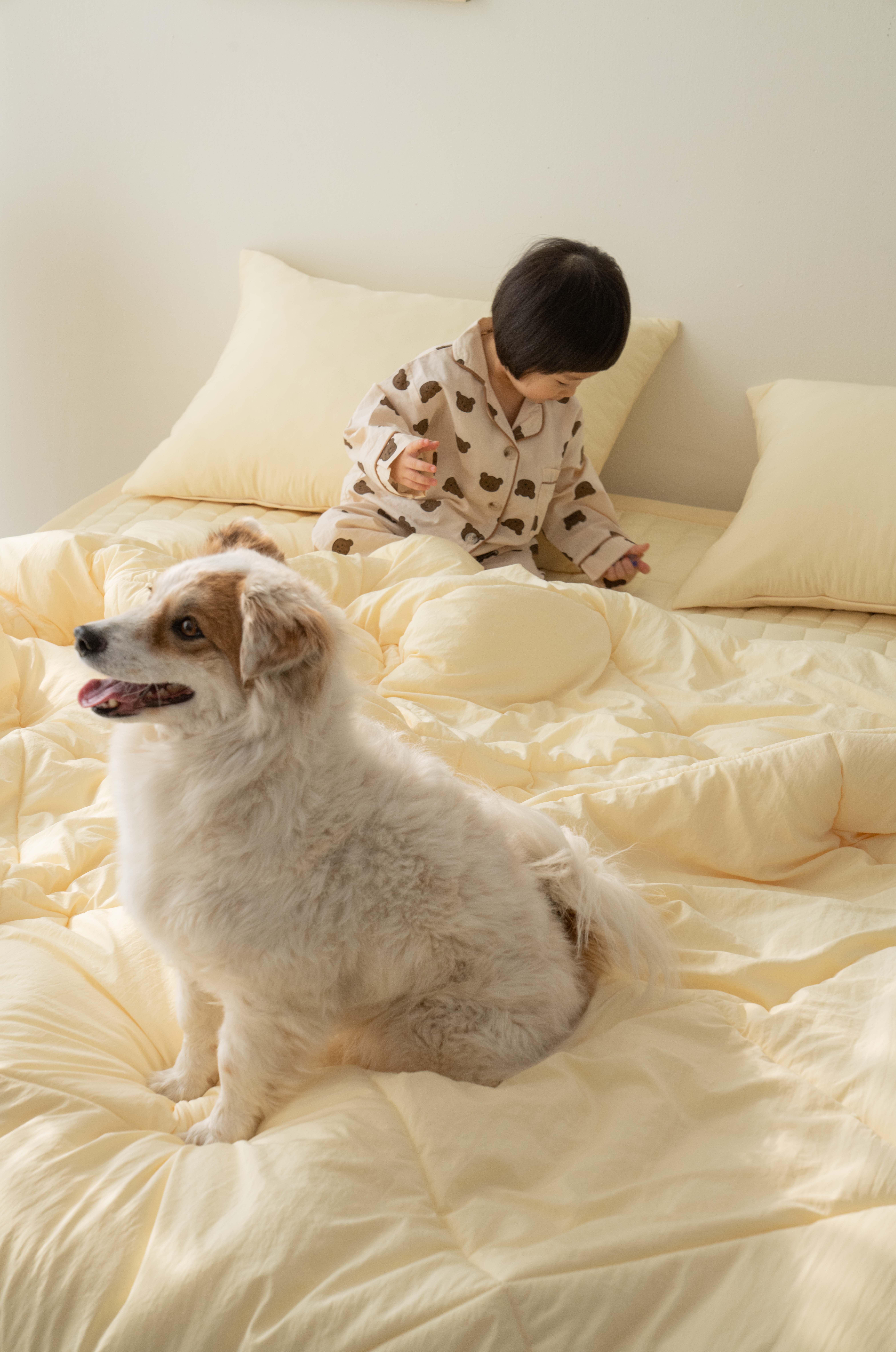 국산 쇼파커버 4인용 쇼파 매트 강아지 고양이 털 안붙는 클라우드