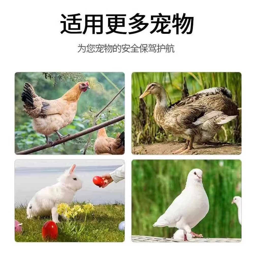 닭장 케이지 병아리 사육장 철제 메추리 키우기 귀농 2x3x2m 플라스틱망 - 상세 이미지 2