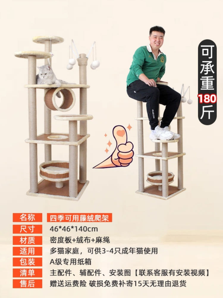 대형 고양이 빌라 내부 이미지