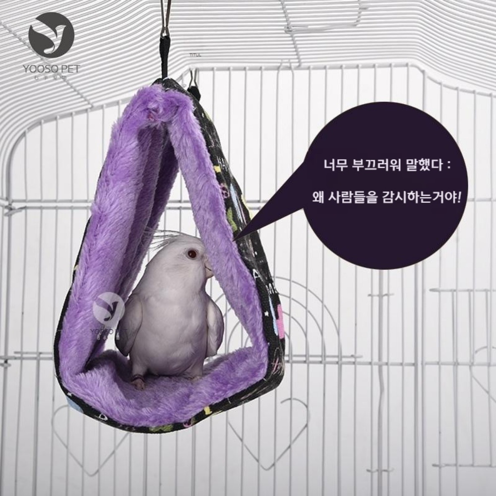 따뜻한 앵무새 털 둥지 집 삼각형 목화솜