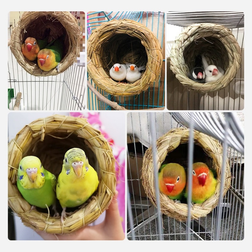 새 인조 둥지 앵무새 밀짚 편한 잔디 - 메인 이미지