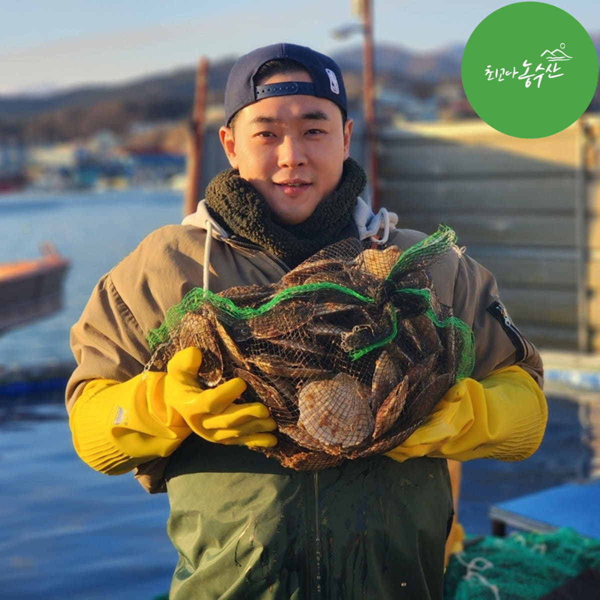 참가리비 국산 동해안 고성 가리비 회 찜 구이 대왕가리비 수입산 가격 비교 최고다농수산 참가리비 국산 동해안 고성 가리비 회 찜 구이 대왕가리비 수입산