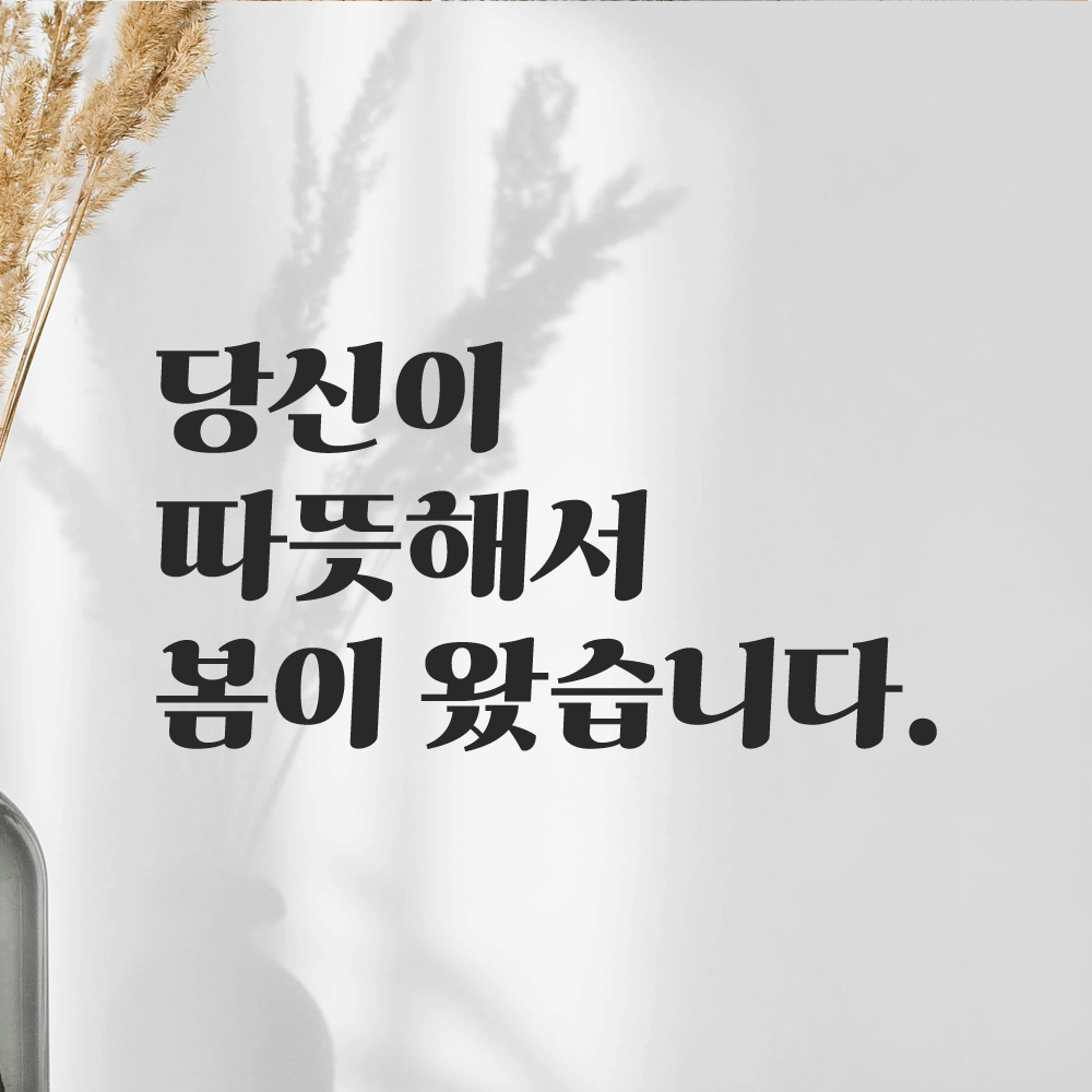 인테리어 포인트 그래픽 레트로 감성 레터링 스티커 당신이 따뜻해서 봄이 왔습니다 LG-032S 검정 이미지 7