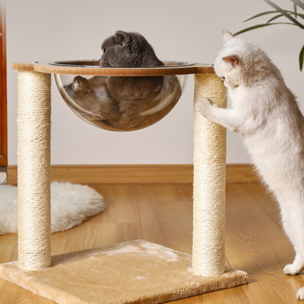 아기고양이 원목 캣타워 놀이터