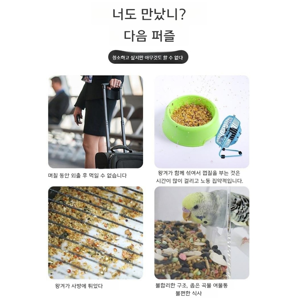 조류 자동 모이통 모이배분기 앵무새 먹이관리 - 상세 이미지 3