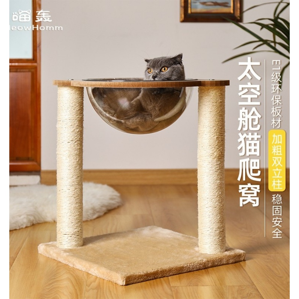 아기고양이 원목 캣타워 놀이터