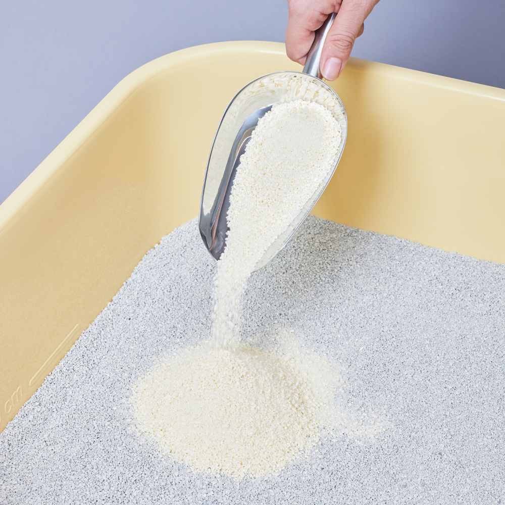 3651 365샌드 카사바 벤토나이트 카사벤토 고양이 모래 6kg X 2개(1박스)