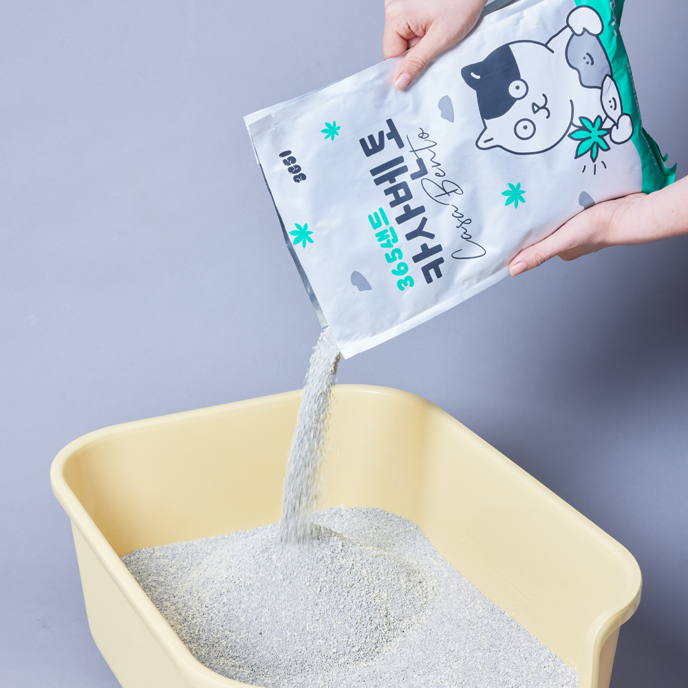 3651 365샌드 카사바 벤토나이트 카사벤토 고양이 모래 6kg X 2개(1박스)