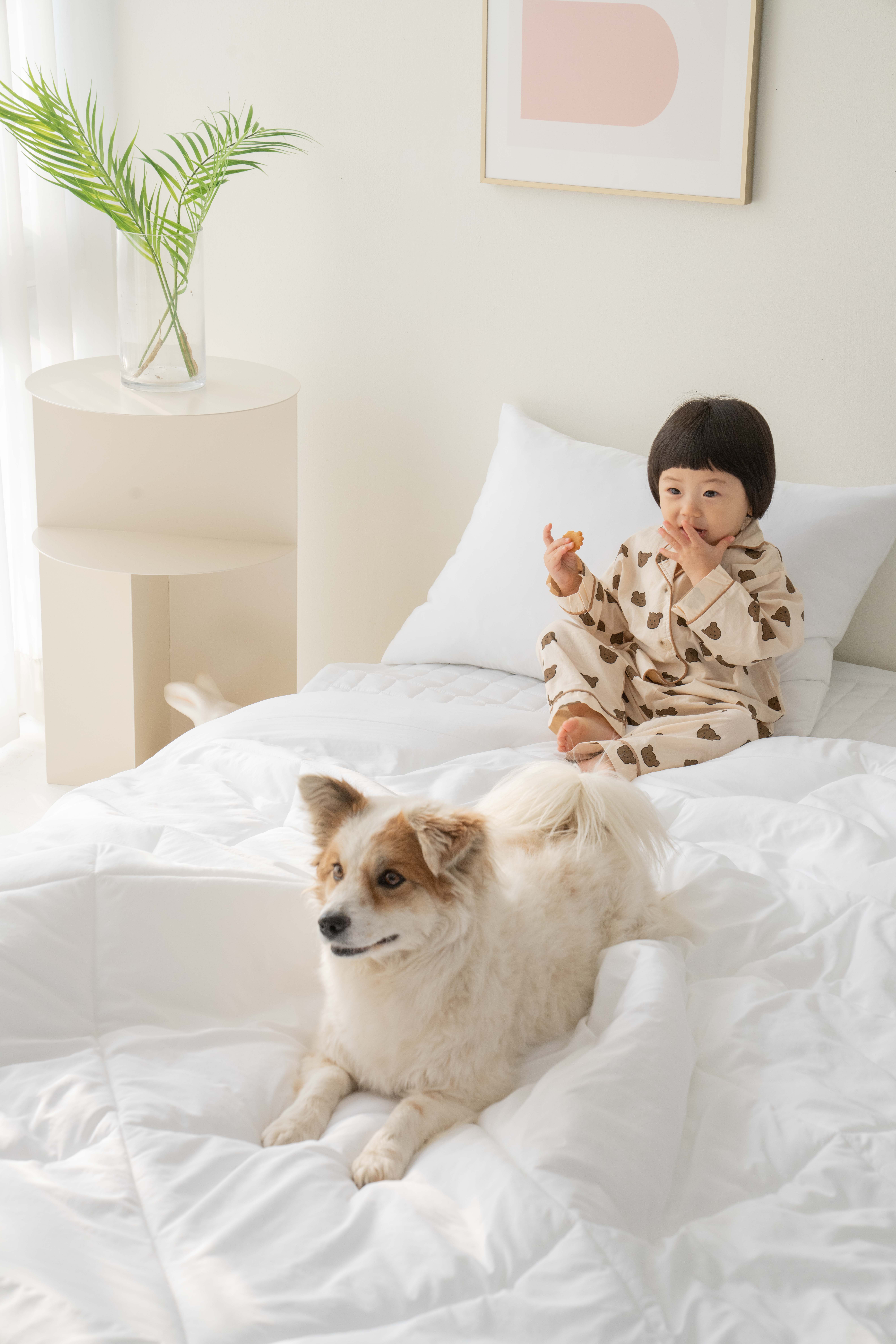 알러지케어 이불 먼지없는 강아지 고양이 털 안붙는 차렵이불 SS 슈퍼싱글 - 상세 이미지 3