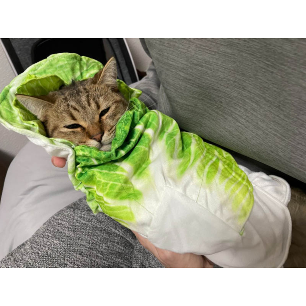 배추담요 쇼파 무릎 캠핑 소파 블랭킷 배춧잎 극세사 얇은 발 수면 작은 이불