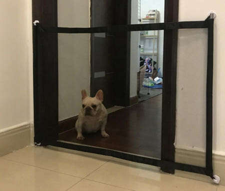 그물 울타리 반려동물 안전망 반려견 담장 강아지펜스 가이드라인