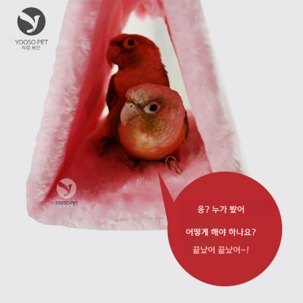 따뜻한 앵무새 털 둥지 집 삼각형 목화솜