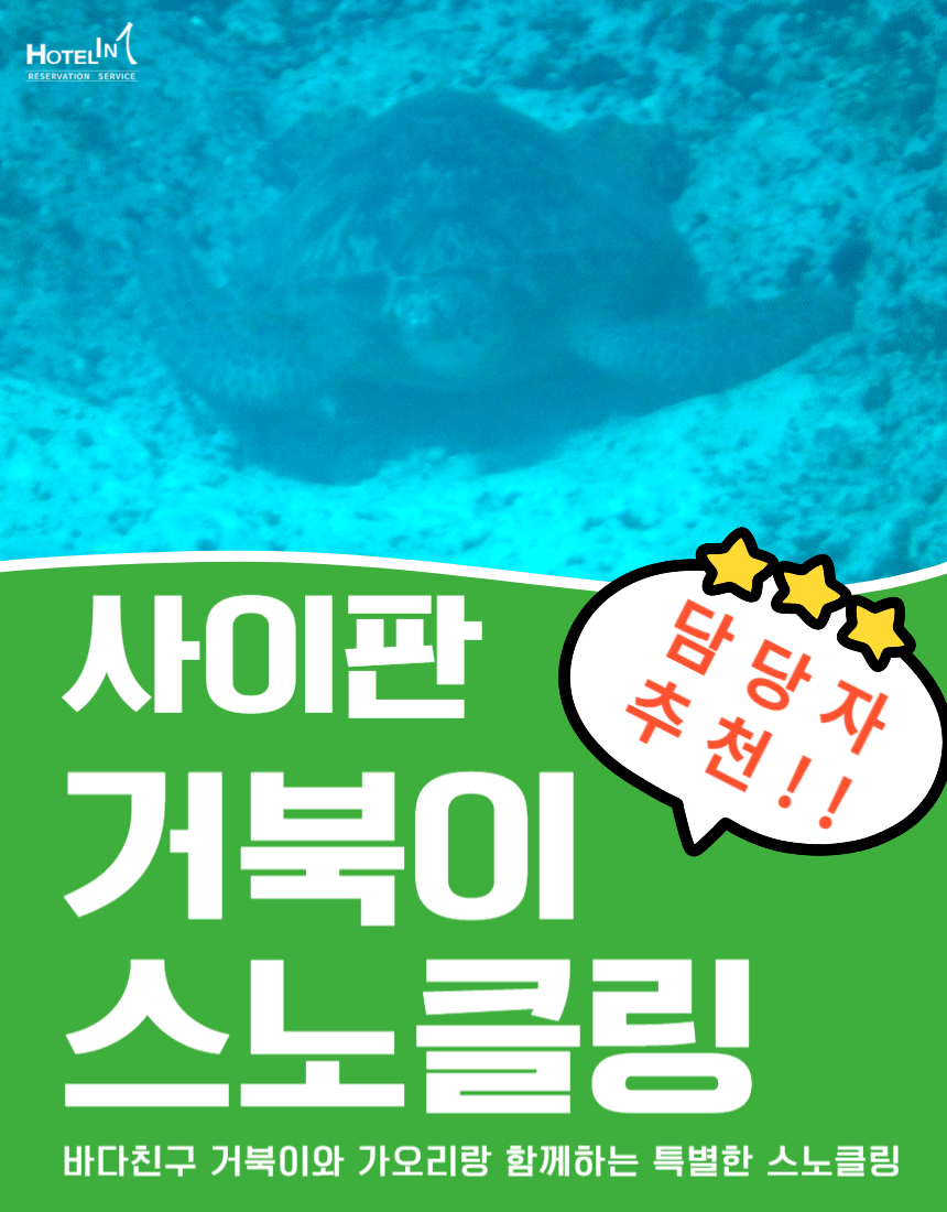 사이판 거북이 스노클링 투어 매일가능 스피드보트 왕복 호텔 픽드랍 - 상품 이미지
