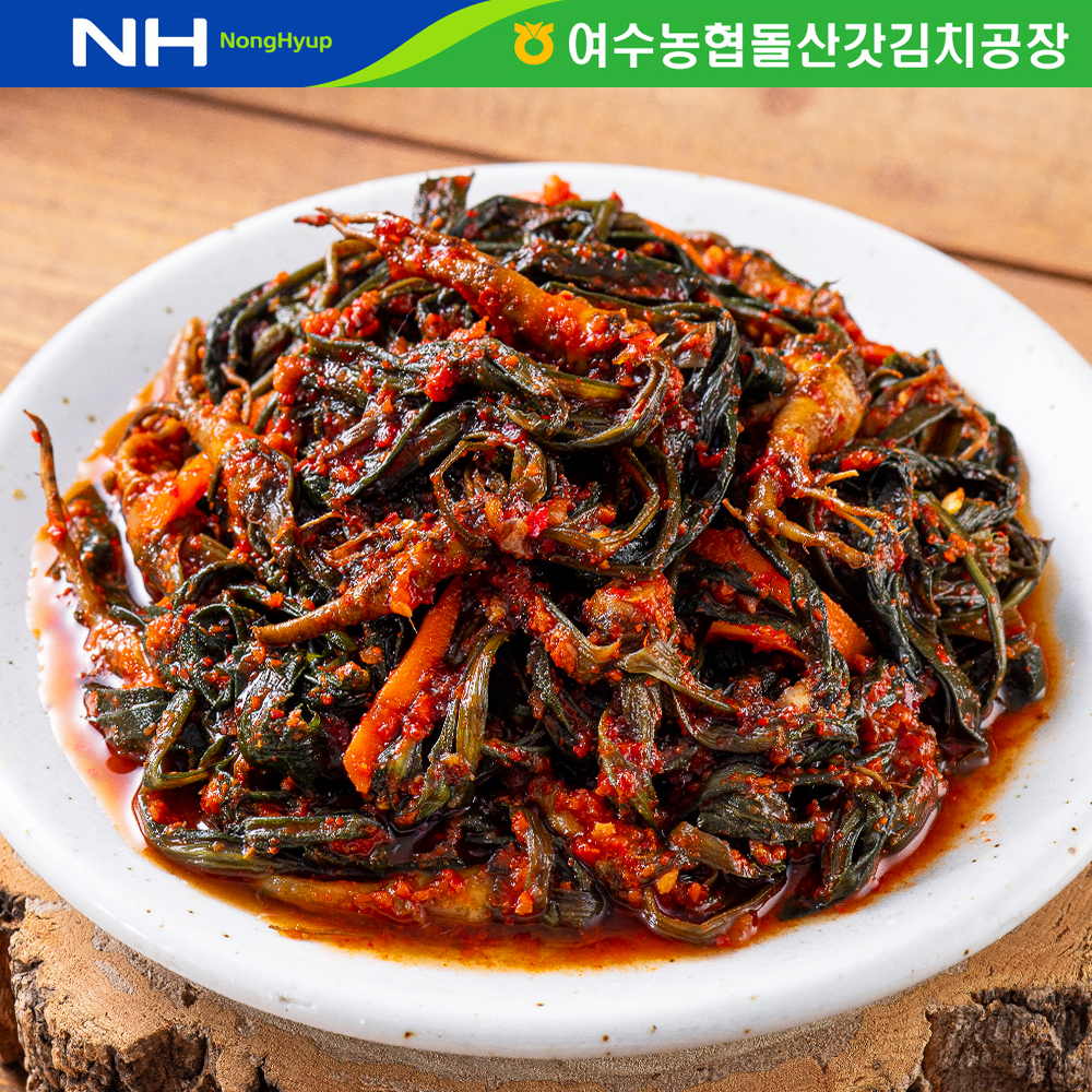 국내산 고들빼기 꼬들빼기 김치 2kg 주문 맛있게 먹은 솔직 후기 - 대표 이미지