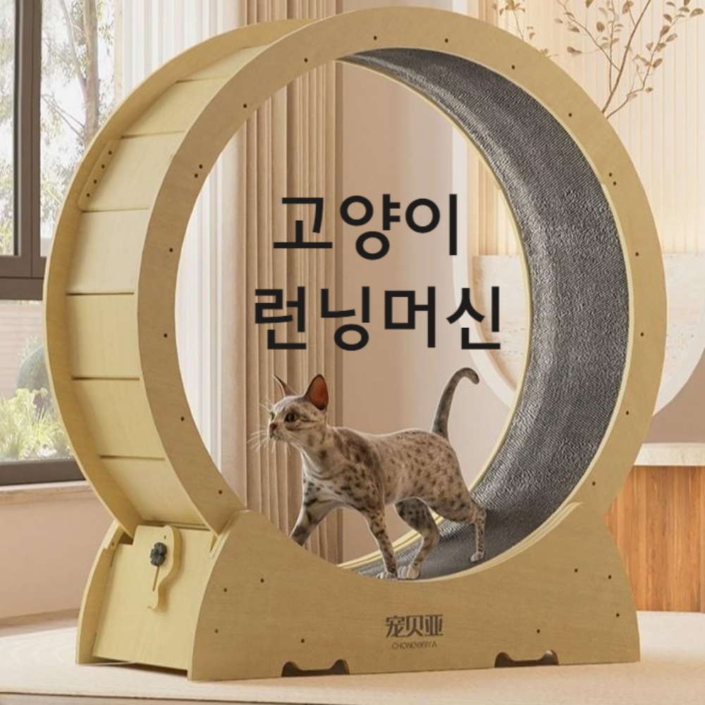 원목 고양이쳇바퀴 런닝머신 캣타워 고양이운동