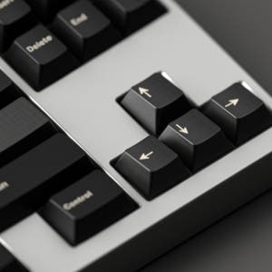 [N 배송] GMK CYL Black Snail 베이스 키캡 개봉기 | 실사용 후기 - 상품 이미지 2