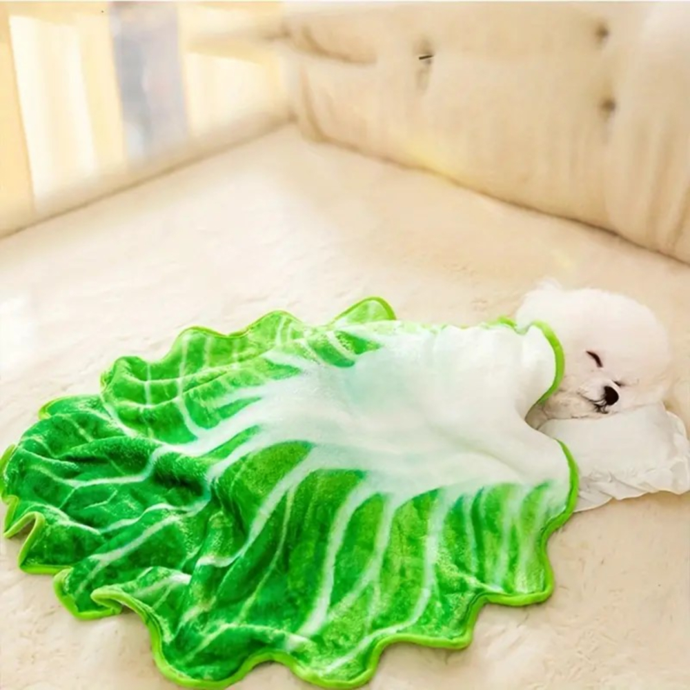 배추담요 쇼파 무릎 캠핑 소파 블랭킷 배춧잎 극세사 얇은 발 수면 작은 이불